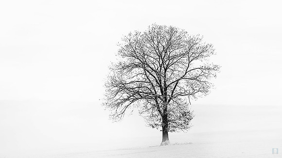 Insta Mono 240120 Echternach - Grevenmacher 2119 Photo © Ludo Segers 2024