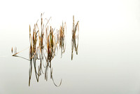 Near Trakai 40 x 60  4/35