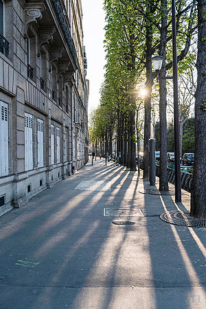 April in Paris  Photo © Ludo Segers
