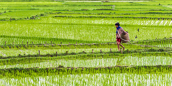 190225 Mau Chai Vietnam  101 Photo © Ludo Segers