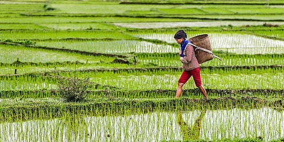191704  Mau Chai 116 Photo © Ludo Segers