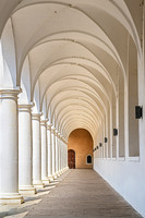 20250603 Stallhof Dresden 4086 © Ludo Segers Photography