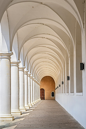 20250603 Stallhof Dresden 4086 © Ludo Segers Photography