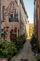 241104 Grevenmacher LU 850_9958 Photo © Ludo Segers 2024