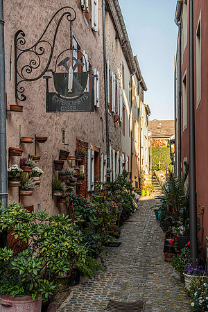 241104 Grevenmacher LU 850_9958 Photo © Ludo Segers 2024