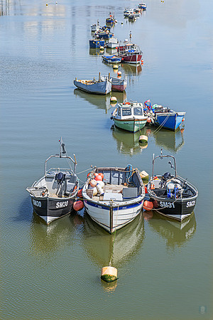 Short 24 cm 240730 Shoreham East Sussex UK 8155 Photo © Ludo Segers 2024